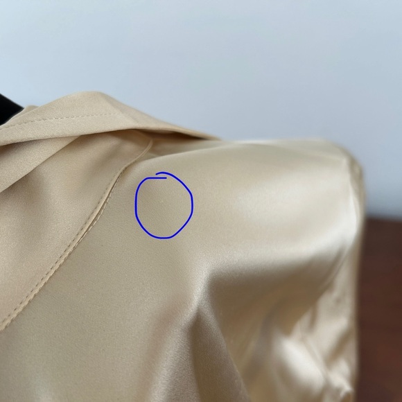 Bottega Veneta Silk Women's Long Sleeve Dress, Size 40, New with Tag. - Picture 10 of 16